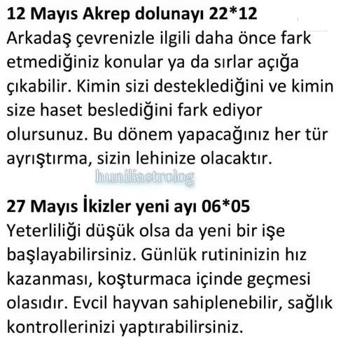 may22 (21).webp