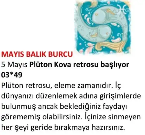 may22 (25).webp