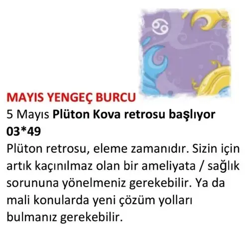 may22 (8).webp
