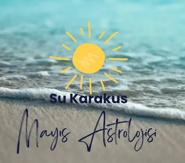mayıs (1).webp