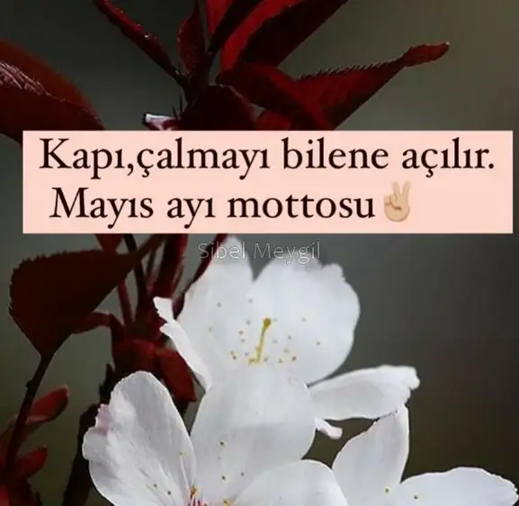 mayıs aylık10 (1).webp