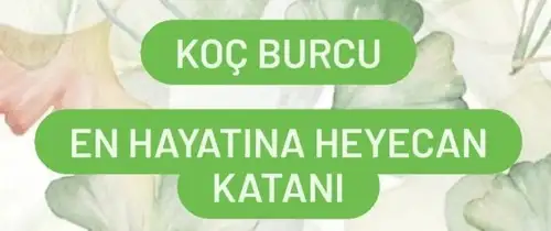 mayıs aylık19 (2).webp