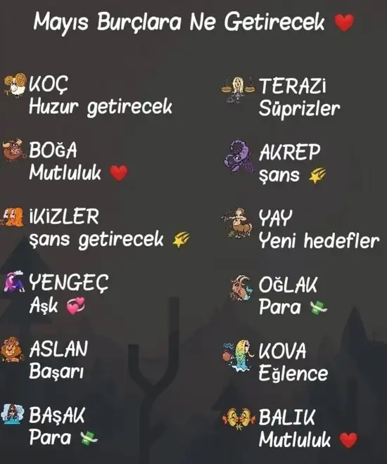 mayıs aylık2 (4).webp