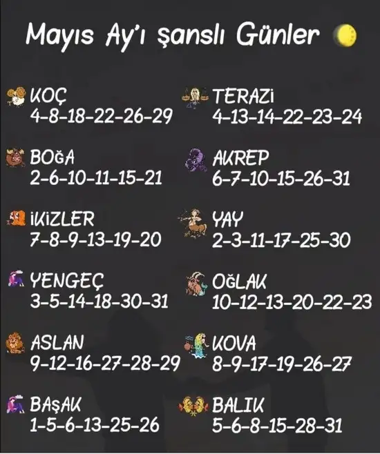 mayıs aylık2 (7).webp