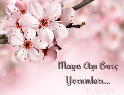 mayıs aylık9 (1).webp