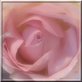mayıs ayylık (1).webp