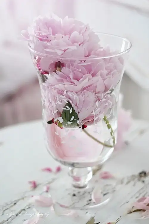 mayıs ayylık (15).webp