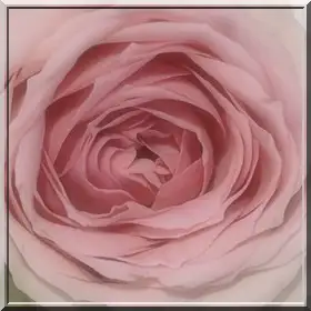 mayıs ayylık (2).webp