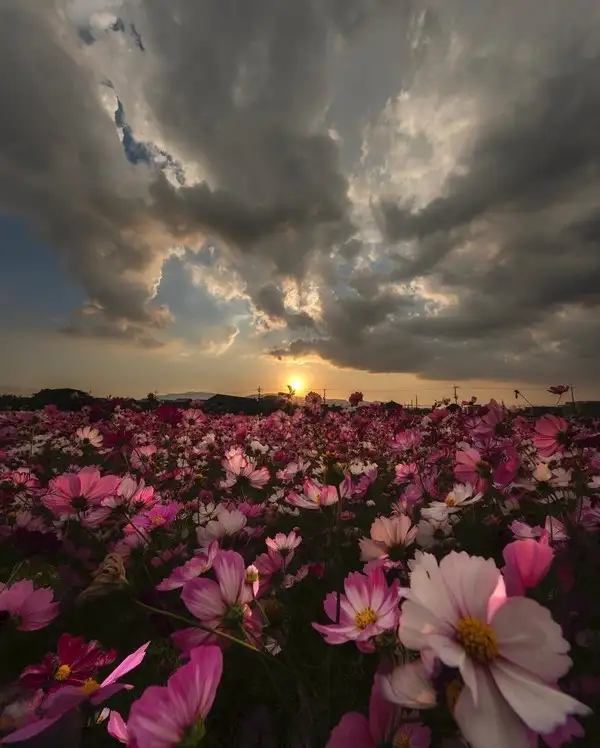 mayıs ayylık (9).webp