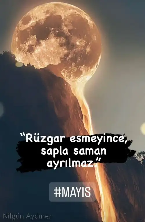 mayıs.webp