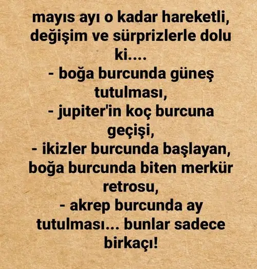 mayıs1 (1).webp