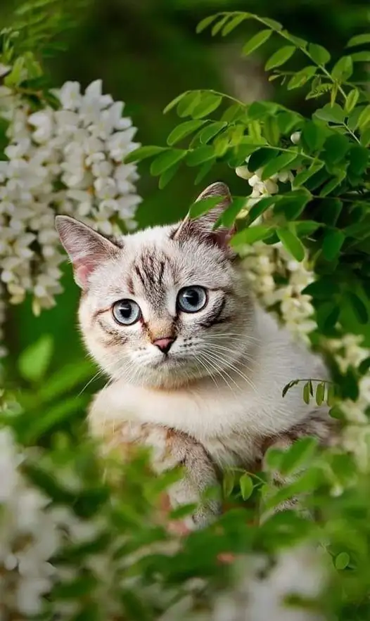 mayyt (1).webp