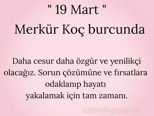 mekr koc.webp