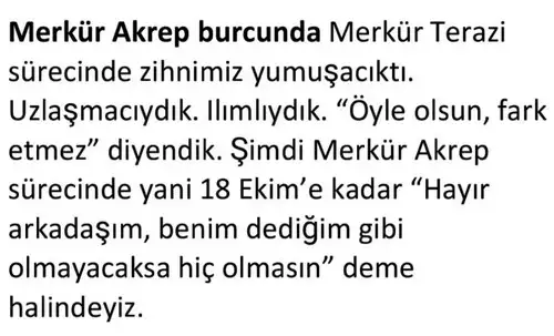 mer akr (1).webp