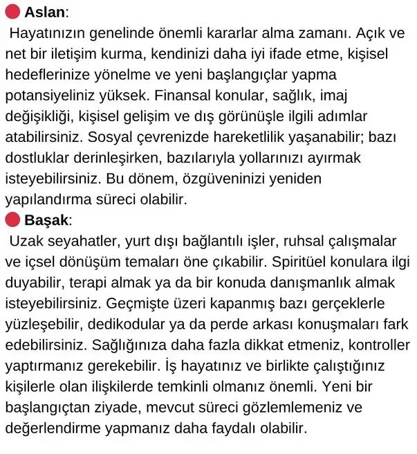 mer as11 (3).webp