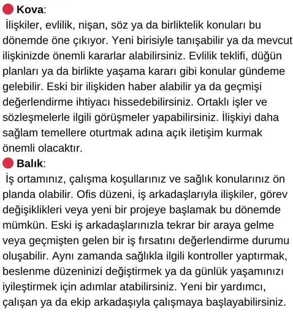 mer as11 (7).webp