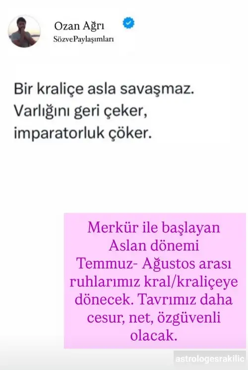 mer aslan2.webp