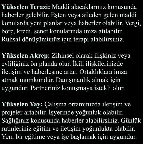 mer b3 (4).webp