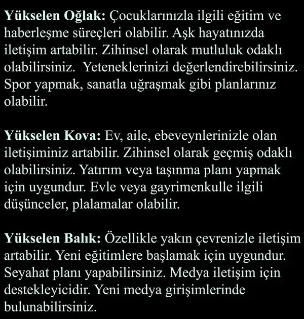 mer b3 (5).webp