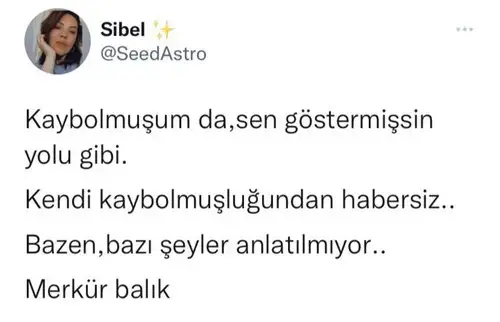 mer bal 12.webp