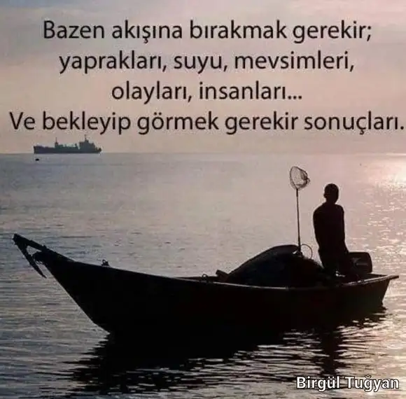 mer bal 14 (1).webp