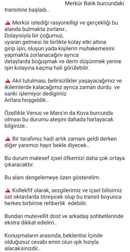 mer bal 14 (2).webp