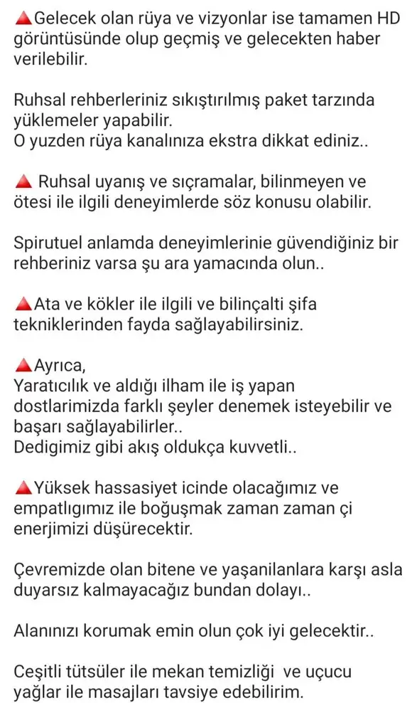 mer bal 14 (3).webp