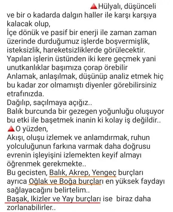 mer bal 14 (4).webp