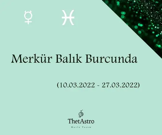 mer bal1 (1).webp