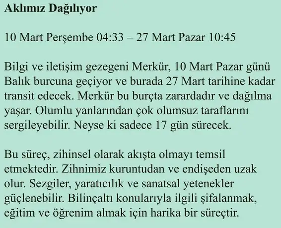 mer bal1 (2).webp