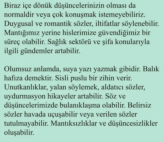 mer bal1 (4).webp