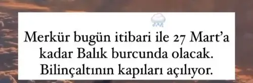 mer bal10 (1).webp