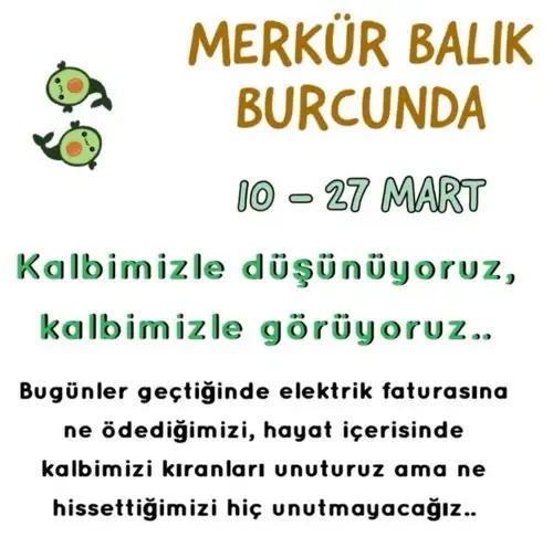 mer bal18 (1).webp
