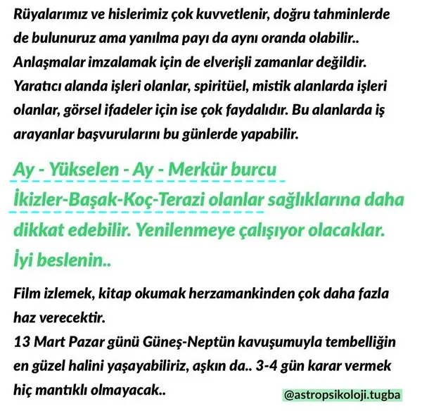 mer bal18 (3).webp
