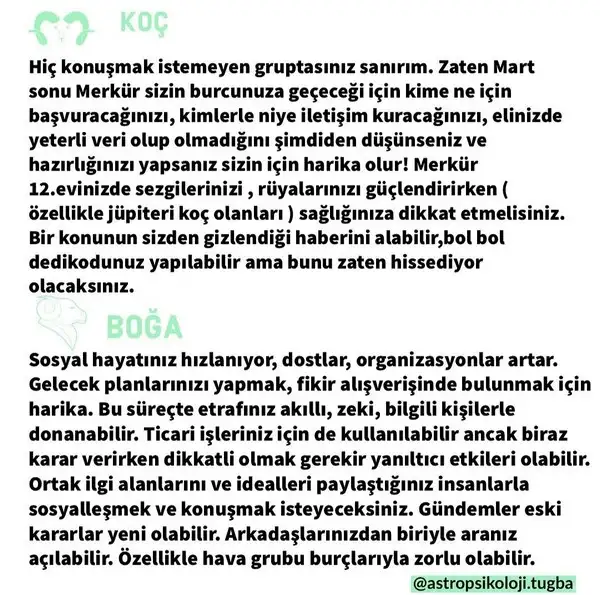 mer bal18 (4).webp