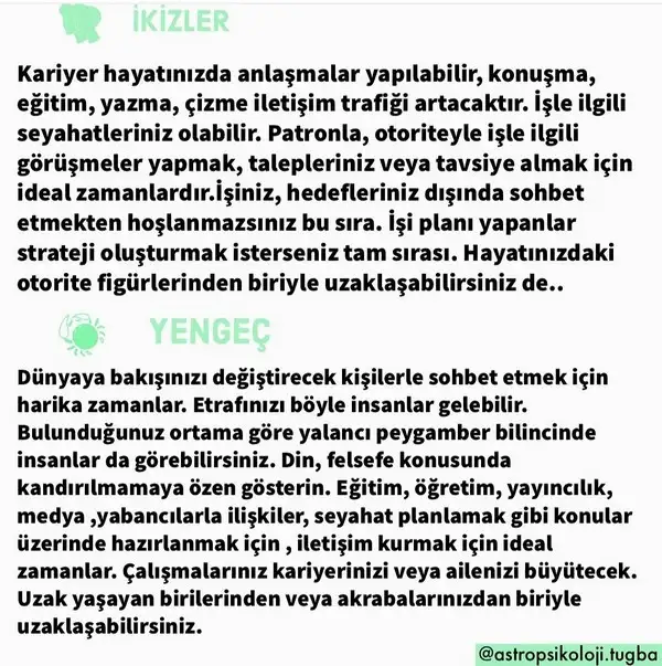 mer bal18 (5).webp
