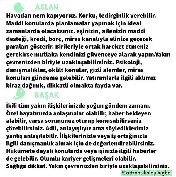 mer bal18 (6).webp