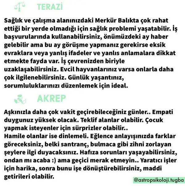 mer bal18 (7).webp