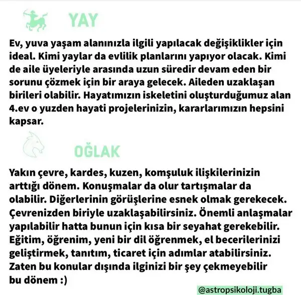 mer bal18 (8).webp