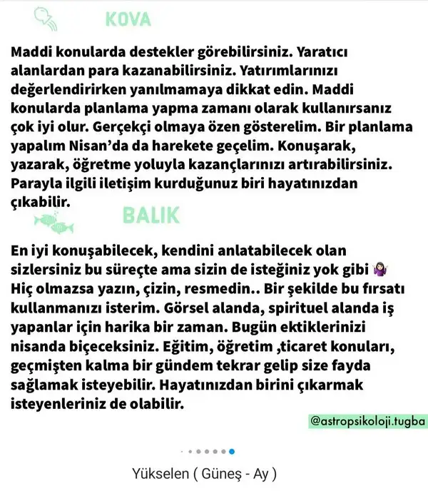 mer bal18 (9).webp