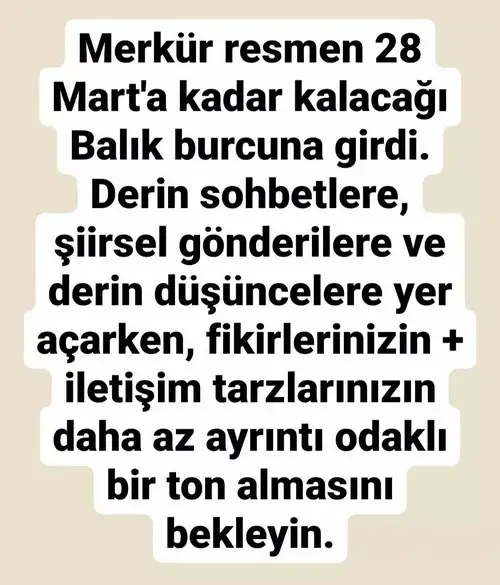 mer bal19.webp