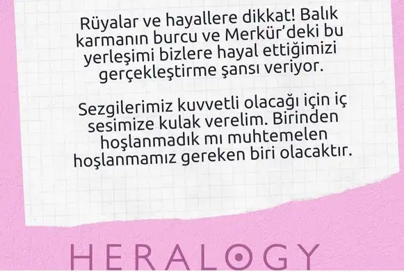 mer bal2 (2).webp