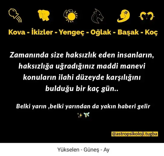 mer bal21.webp