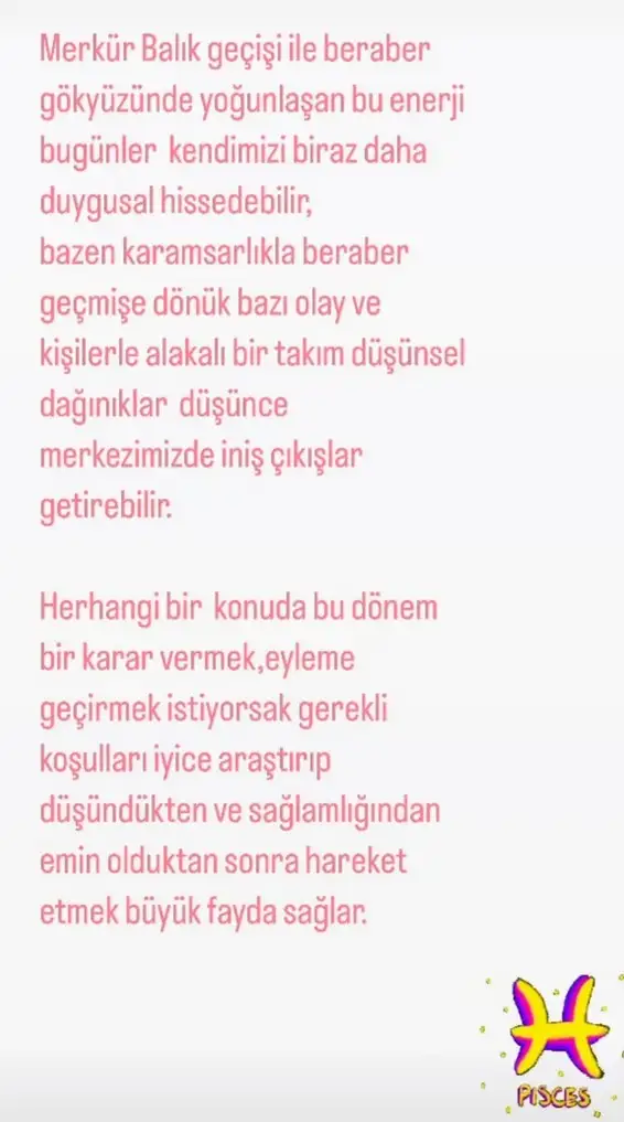 mer bal23 (1).webp