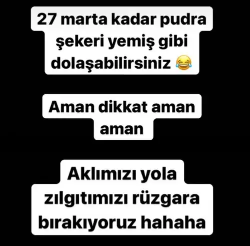 mer bal28 (1).webp
