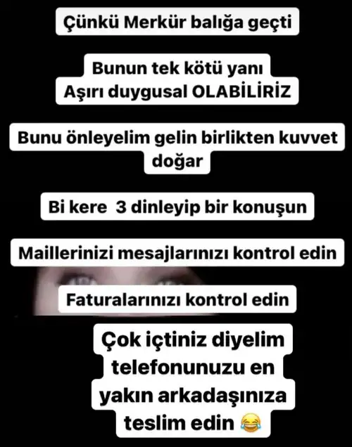 mer bal28 (2).webp