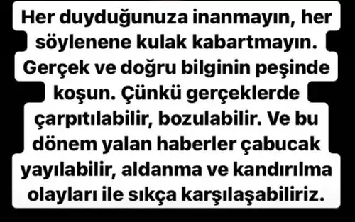 mer bal28 (3).webp