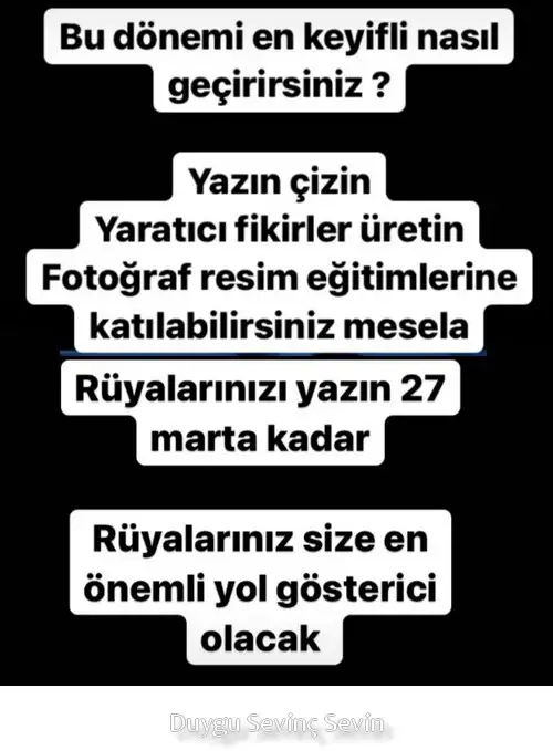 mer bal28 (4).webp