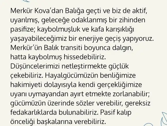 mer bal3 (2).webp