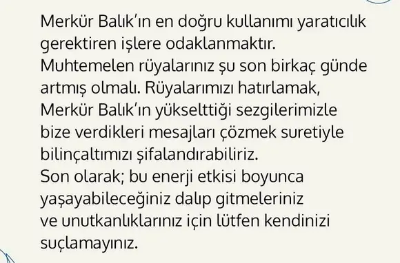 mer bal3 (3).webp